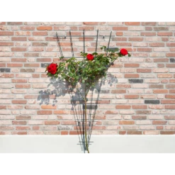 Nature - Metalen Klimrekv Geplastificeerd Groen H145x5/75cm 8 Nature - Metalen Klimrekv Geplastificeerd Groen H145x5/75cm -Tuinplantenwinkel nature metalen klimrekv geplastificeerd groen h145x5 75cm 3 2