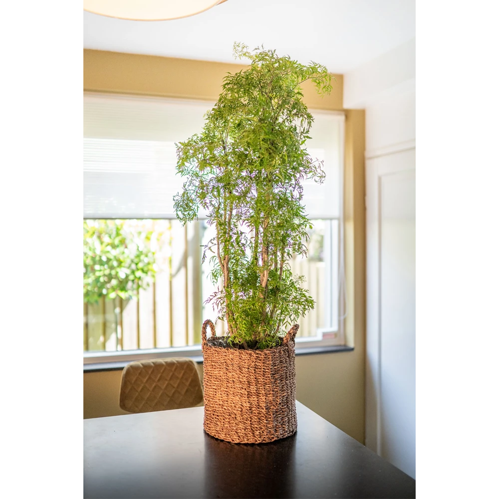 Plantenmand Joris - D38 X H33cm - Camel 4 Plantenmand Joris - D38 X H33cm - Camel - Afbeelding 2