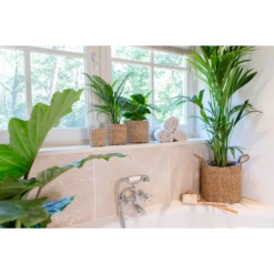 Plantenmand Joris - D42 X H36cm - Naturel -Tuinplantenwinkel plantenmand joris naturel plantenmand 3 1