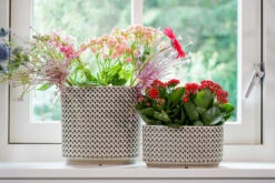 Bloempot Thies Ovaal - L26 X B12 X H13cm - Olijf Groen -Tuinplantenwinkel planter thies olive green d26x12 h13 bloempot 6 10