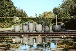 Capi Bloempot Bol Nature Rib NL - D43 X H41cm - Antraciet -Tuinplantenwinkel pot bol rib nl 43x41 antraciet bloempot 6 9