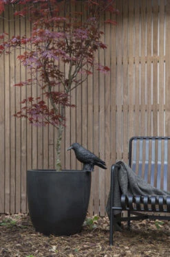 Capi Bloempot Bol Urban Smooth NL - D35 X H34cm - Zwart -Tuinplantenwinkel pot bol smooth nl 35x34 zwart bloempot 6 9