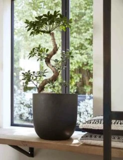 Capi Bloempot Bol Urban Smooth NL - D35 X H34cm - Zwart -Tuinplantenwinkel pot bol smooth nl 35x34 zwart bloempot 7 8