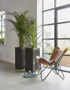 Capi Plantenbak Rechthoek Urban Smooth NL - L36 X B36 X H79cm - Zwart -Tuinplantenwinkel pot rechthoek smooth nl 36x36x79 zwart plantenbak 6 9