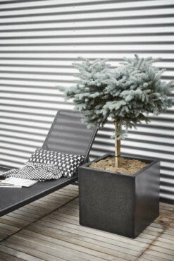 Capi Plantenbak Vierkant Lux Terrazo - L50 X B50 X H50cm - Zwart -Tuinplantenwinkel pot vierkant 50x50x50 zwart plantenbak 7 8