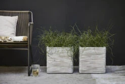 Capi Plantenbak Vierkant Nature Rib NL - L30 X B30 X H30cm - Ivoor -Tuinplantenwinkel pot vierkant rib nl 30x30x30 ivoor plantenbak 7 8