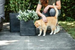 Capi Plantenbak Vierkant Nature Rib NL - L30 X B30 X H30cm - Zwart 7 Capi Plantenbak Vierkant Nature Rib NL - L30 X B30 X H30cm - Zwart -Tuinplantenwinkel pot vierkant rib nl 30x30x30 zwart plantenbak 7 8