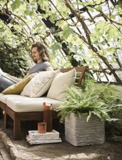 Capi Plantenbak Vierkant Nature Rib NL - L40 X B40 X H40cm - Ivoor 6 Capi Plantenbak Vierkant Nature Rib NL - L40 X B40 X H40cm - Ivoor -Tuinplantenwinkel pot vierkant rib nl 40x40x40 ivoor plantenbak 6 9