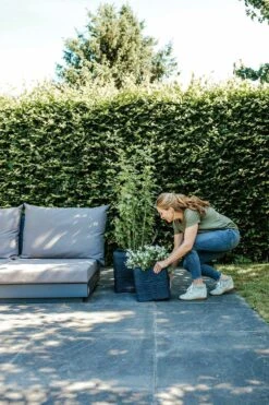 Capi Plantenbak Vierkant Nature Rib NL - L40 X B40 X H40cm - Zwart -Tuinplantenwinkel pot vierkant rib nl 40x40x40 zwart plantenbak 7 8