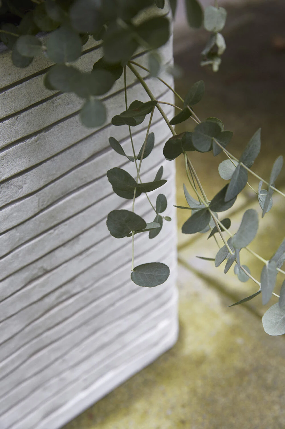 Capi Plantenbak Vierkant Nature Row NL - L40 X B40 X H40cm - Ivoor 4 Capi Plantenbak Vierkant Nature Row NL - L40 X B40 X H40cm - Ivoor - Afbeelding 2