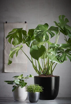 Bloempot Tusca - D28 X H25cm - Antraciet -Tuinplantenwinkel tusca pot rond antraciet h25xd28cm bloempot 6 12