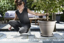 Plantentaxi Elho Universeel 35cm - Antraciet -Tuinplantenwinkel universele planttaxi 35cm schotel antraciet 6 11