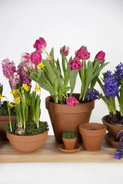 Bloempot Vaso - D43 X H36cm - Oranje -Tuinplantenwinkel vaso 01430iz d43h36 bloempot 6 8