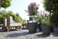 Bloempot Elho Vibia Campana Rond 47cm - Antraciet -Tuinplantenwinkel vibia campana rond 47 bloempot antraciet 6 11