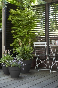 Bloempot Elho Vibia Campana Rond 47cm - Antraciet -Tuinplantenwinkel vibia campana rond 47 bloempot antraciet 7 11