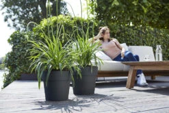 Bloempot Elho Vibia Straight Rond 47cm - Antraciet -Tuinplantenwinkel vibia straight rond 47cm bloempot antraciet 7 11