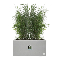 Elho Vivo Next Lang Wielen 80cm - Warm Grijs -Tuinplantenwinkel vivo matt lang wielen 80cm warm grijs 5 1