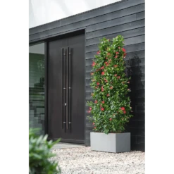 Elho Vivo Next Lang Wielen 80cm - Warm Grijs -Tuinplantenwinkel vivo matt lang wielen 80cm warm grijs 6 1