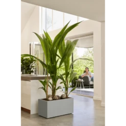 Elho Vivo Next Lang Wielen 80cm - Warm Grijs -Tuinplantenwinkel vivo matt lang wielen 80cm warm grijs 7 1