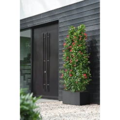 Elho Vivo Next Lang Wielen 60cm - Living Black -Tuinplantenwinkel vivo next lang wielen 60cm living black 6 1