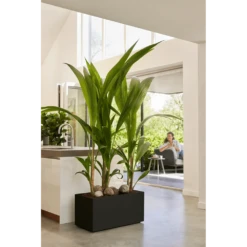 Elho Vivo Next Lang Wielen 60cm - Living Black -Tuinplantenwinkel vivo next lang wielen 60cm living black 7 1