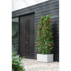 Elho Vivo Next Lang Wielen 80cm - Wit 14 Elho Vivo Next Lang Wielen 80cm - Wit -Tuinplantenwinkel vivo next lang wielen 80cm wit 6 1