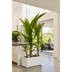 Elho Vivo Next Lang Wielen 80cm - Wit 15 Elho Vivo Next Lang Wielen 80cm - Wit -Tuinplantenwinkel vivo next lang wielen 80cm wit 7 1