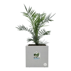 Elho Vivo Next Vierkant Wielen 30cm - Warm Grijs 14 Elho Vivo Next Vierkant Wielen 30cm - Warm Grijs -Tuinplantenwinkel vivo next vierkant wielen 30cm warm grijs 6 1