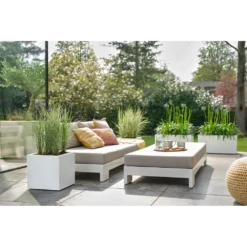 Elho Vivo Next Vierkant Wielen 30cm - Wit -Tuinplantenwinkel vivo next vierkant wielen 30cm wit 7 1