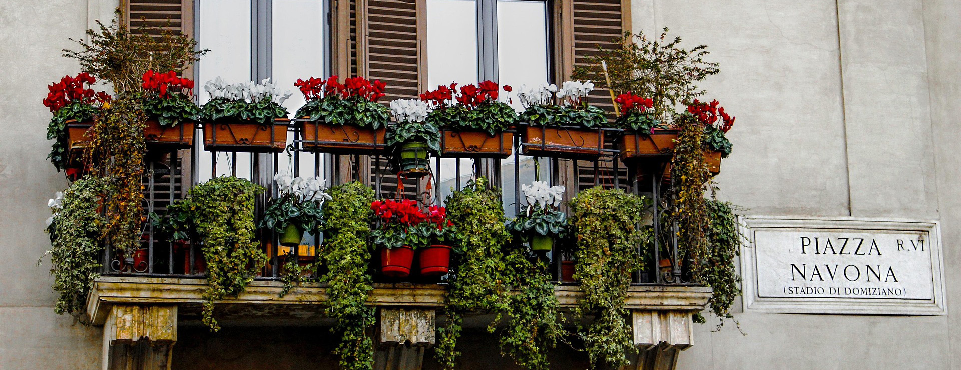 Tuinplantenwinkel -Tuinplantenwinkel flowerpot 1842098 1920